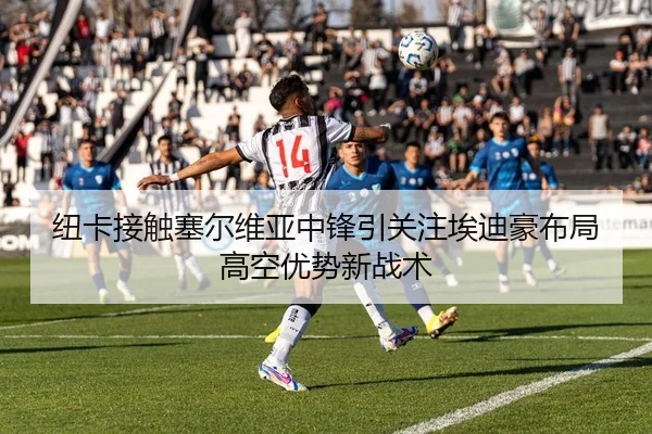 img_1783340336607_50_1_856.jpg